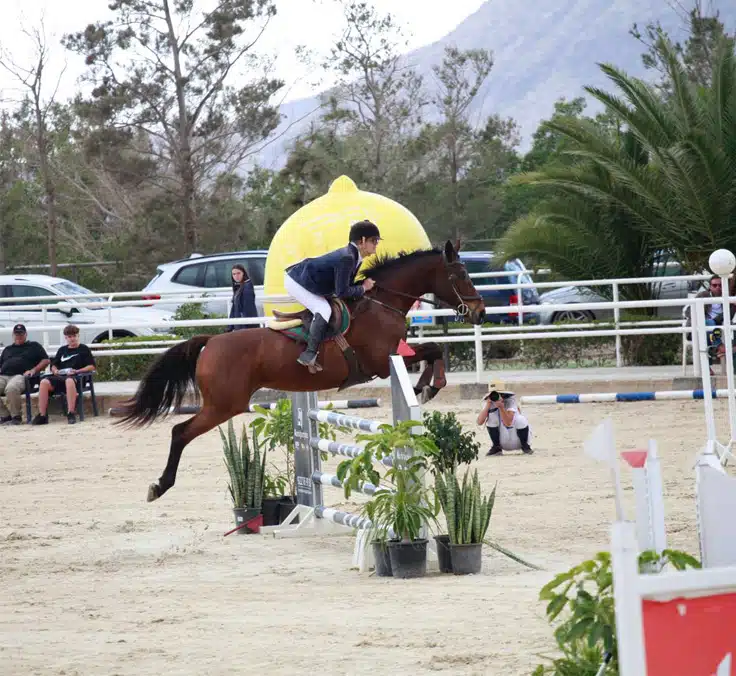 María Cortezo Castillo, cuando ser sorda no impide el acceso a la formación y a un empleo de calidad.