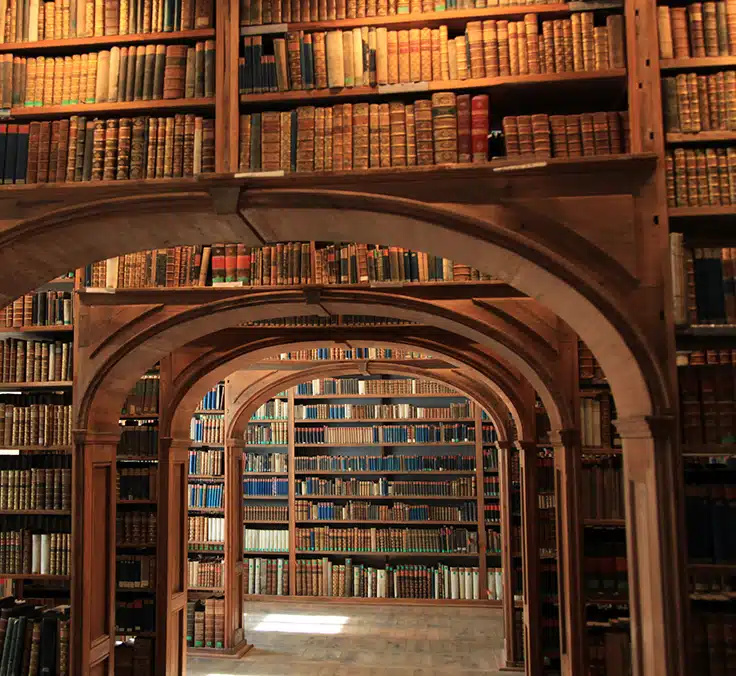 Bibliotecas, espacios seguros alrededor del mundo