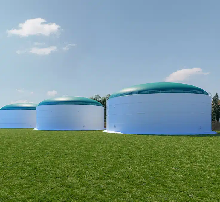 Biomethane: the green gas that reaches where electricity can’t