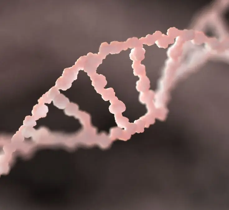 Technologies and challenges: The combination of reading and editing techniques in the decade of genetics