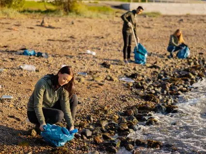 Inversión 425 Inversión