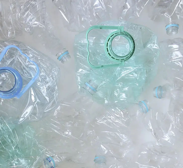 Un despacho para los ODS: el sector privado, fundamental para preservar nuestro capital natural