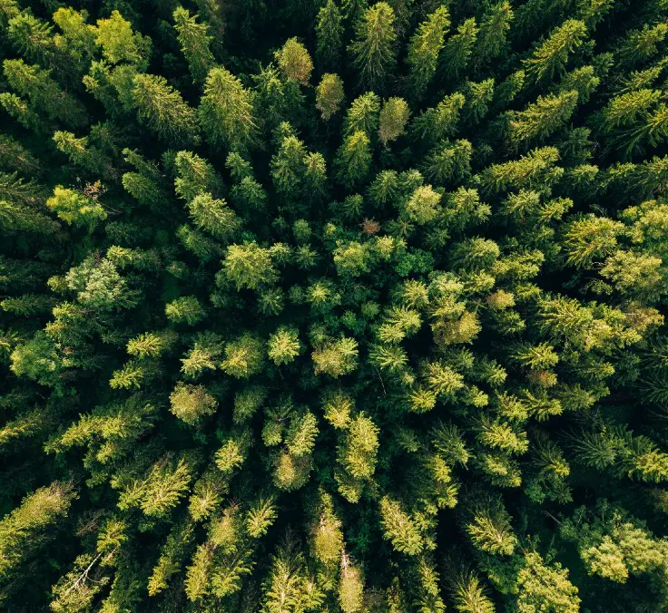 Um ano recorde em sustentabilidade