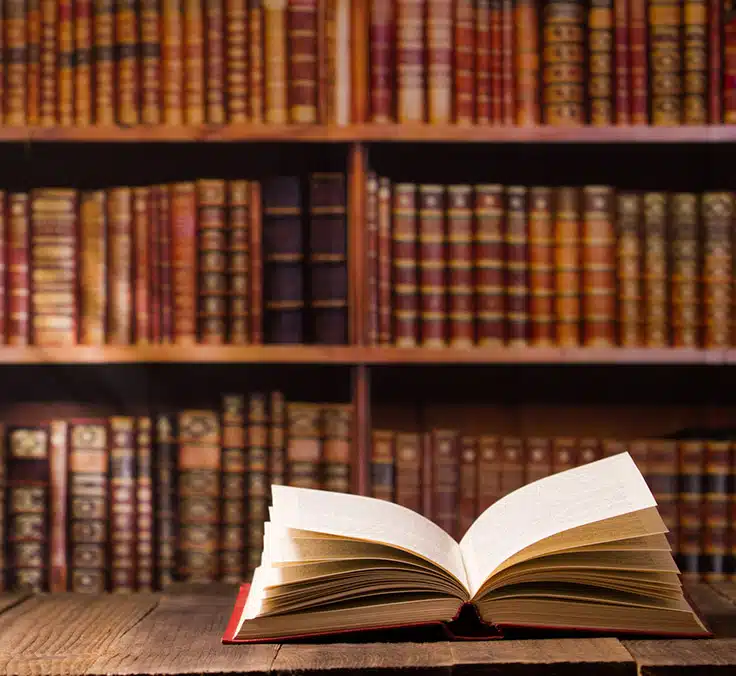 Términos aseguradores que debes conocer para no perderte (Parte I)