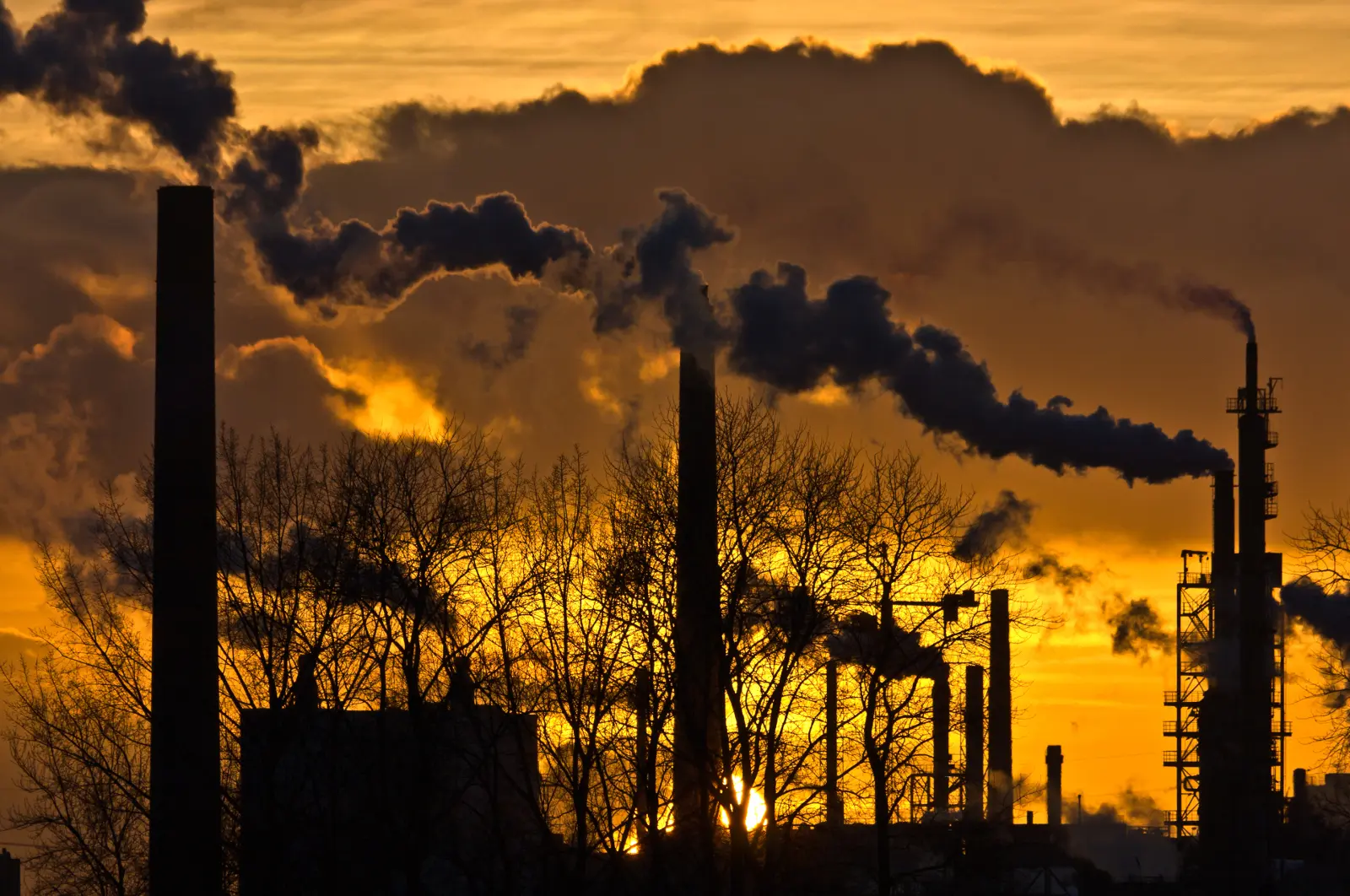 Manuel Toharia: “O alarme não funciona, mas o alerta se adapta a uma realidade que é mais prejudicial para nós