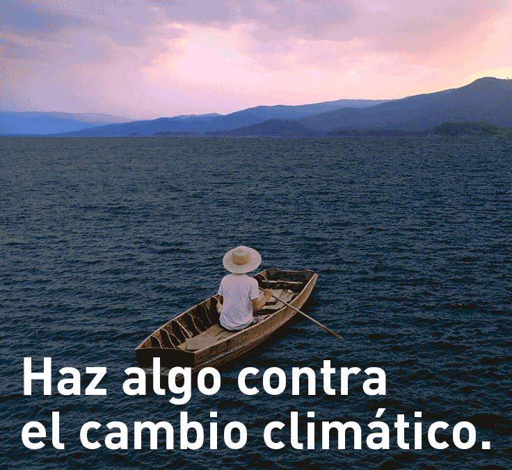 Porque quedarse de brazos cruzados no es una opción