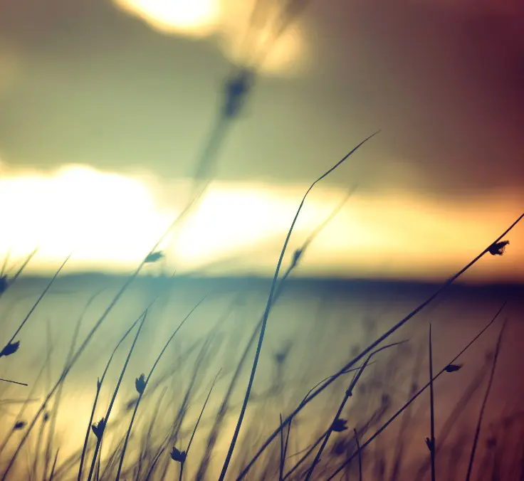 Nossos investimentos: lucrativos e sustentáveis