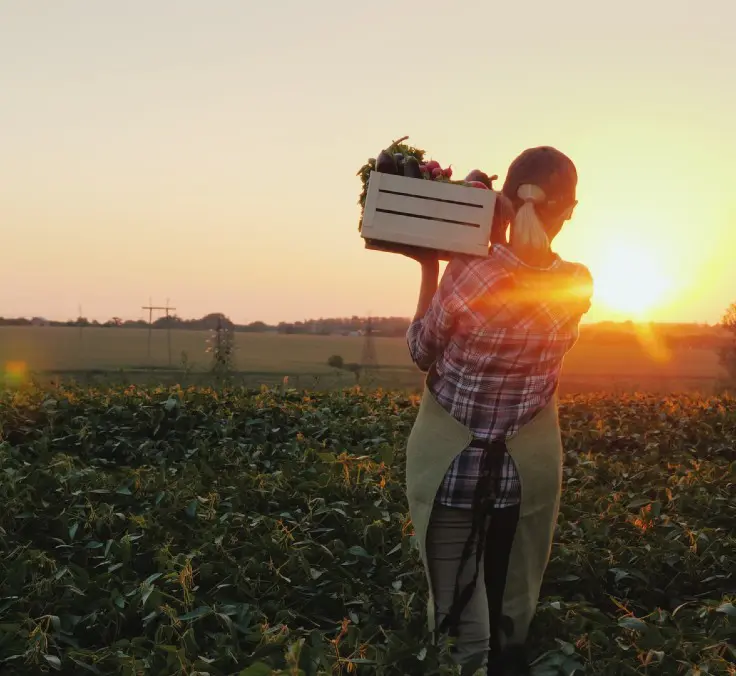 Alimentação sustentável, a protagonista do Greenweekend na Espanha