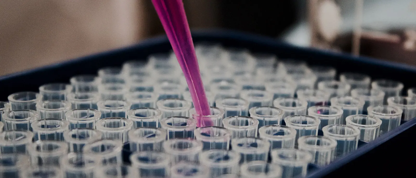 Mariano Esteban: “We need to use all clinical means to protect the population, slow down the infection, and allow the body to overcome it”