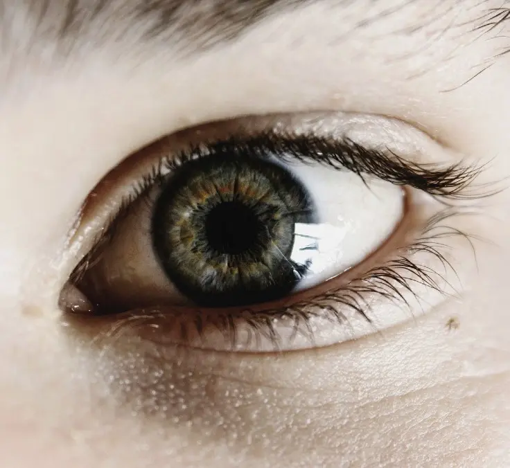 “Nossa espécie será extinta se não acabarmos com as desigualdades”