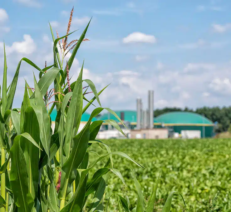 MAPFRE’s biomethane fund receives support from Official Credit Institute