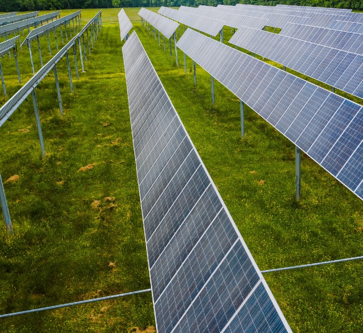 A MAPFRE está entre as empresas que lideram a redução de emissões